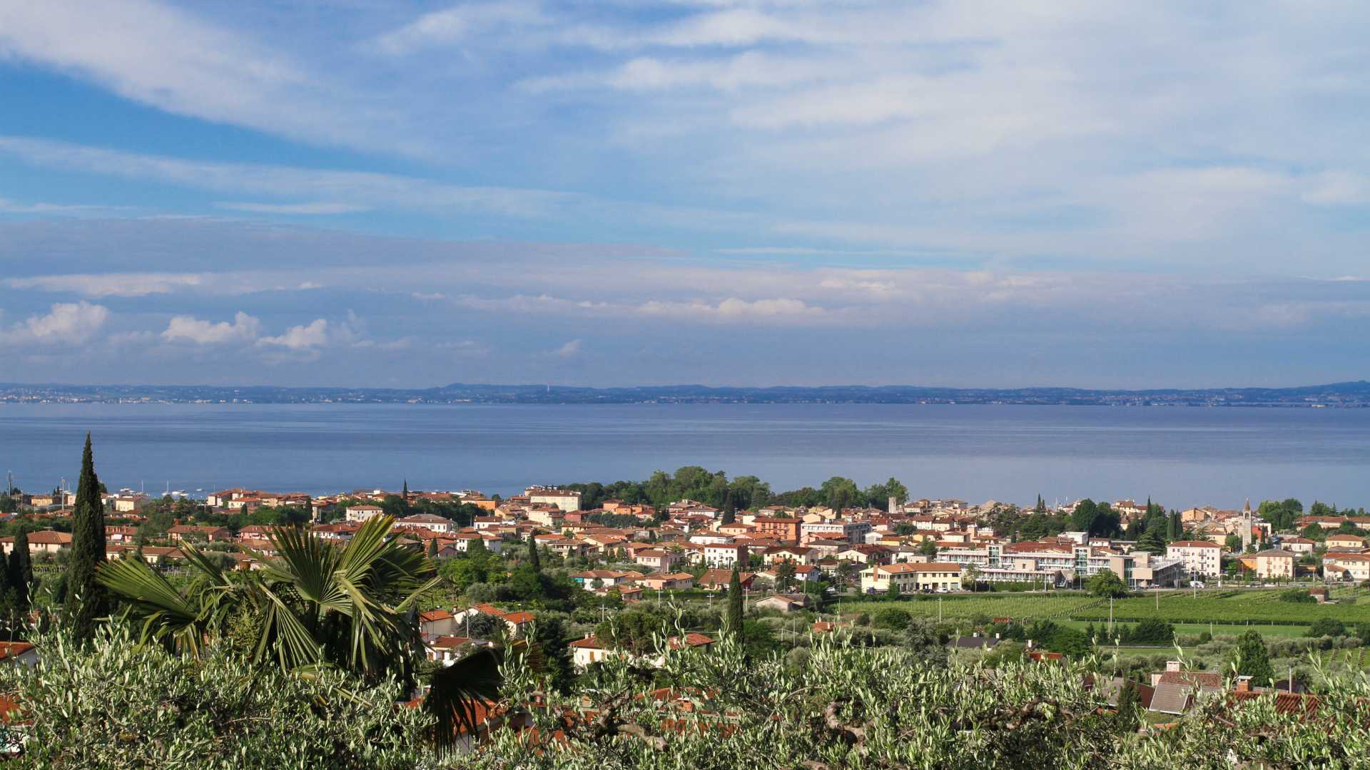 Feste ed Eventi a Bardolino: Un Viaggio tra Tradizioni e Cultura