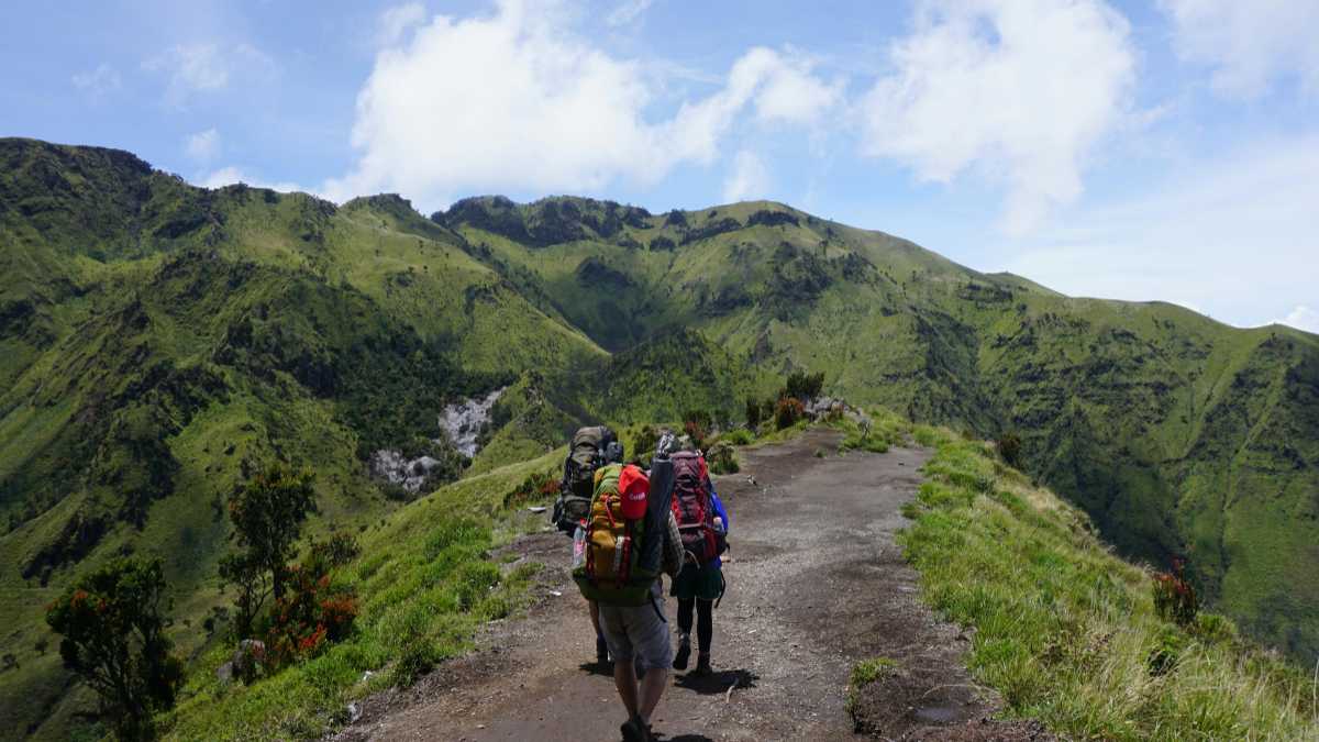 I migliori trekking vicino a Vicenza: avventure nel cuore del Veneto