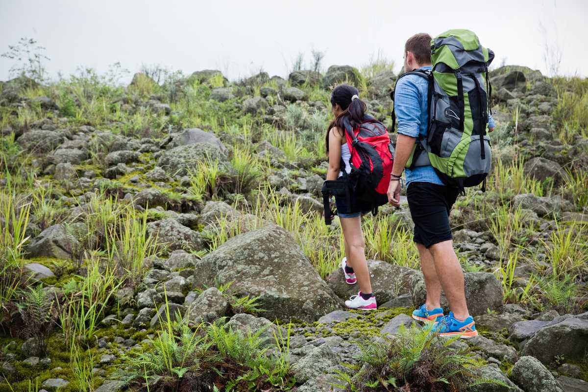 Escursione panoramica con vista sui Colli Euganei