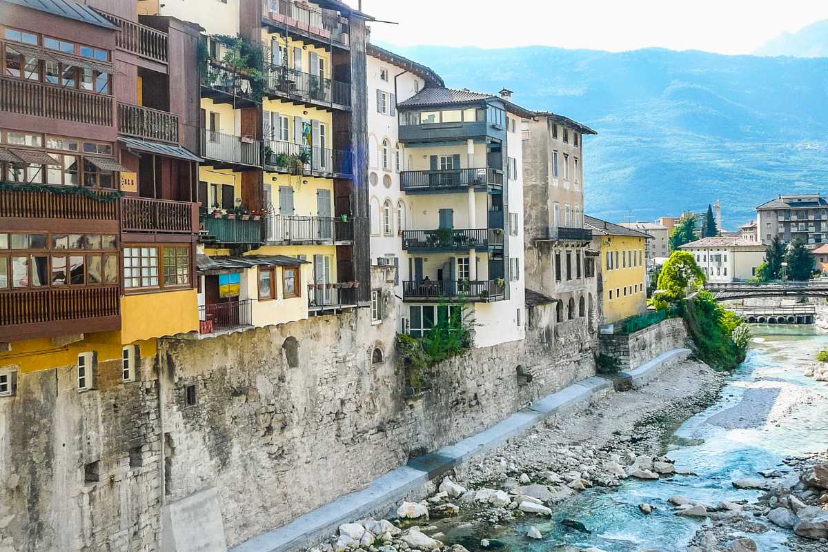 Oasi naturalistiche nel Delta del Po, flora e fauna